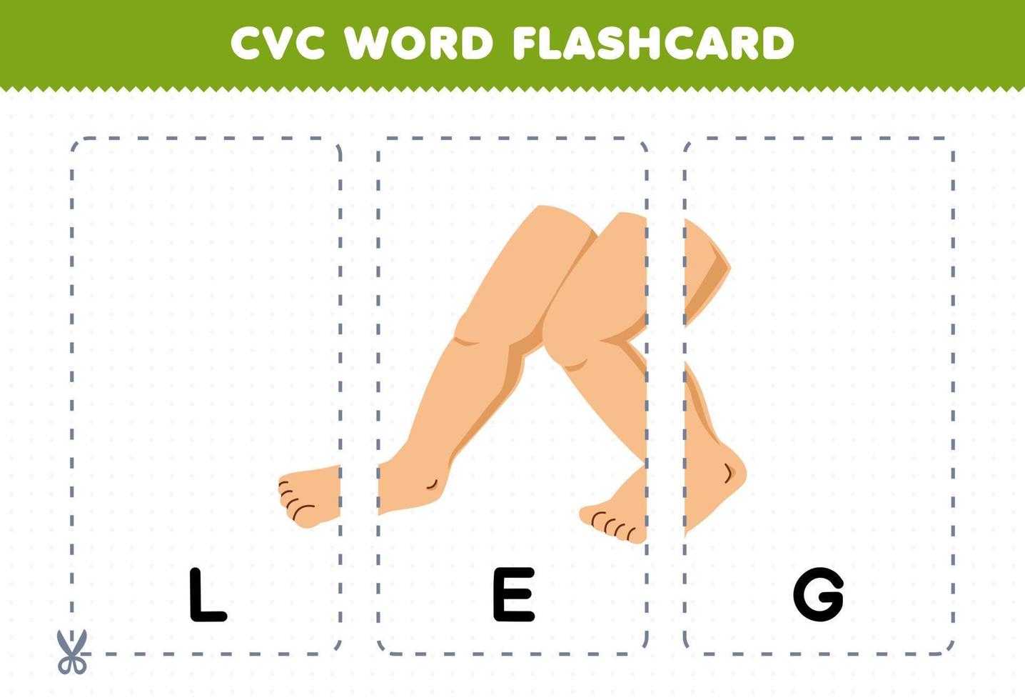 Education game for children learning consonant vowel consonant word with cute cartoon LEG illustration printable flashcard vector