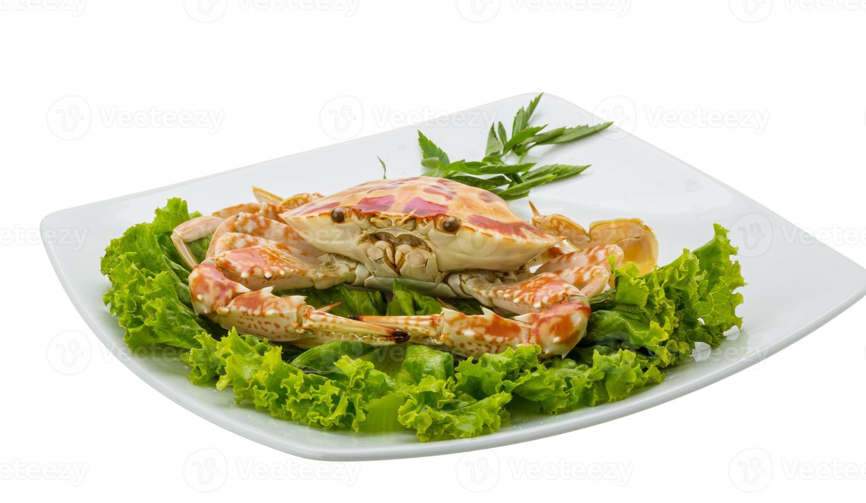 Boiled crab on the plate and white background photo