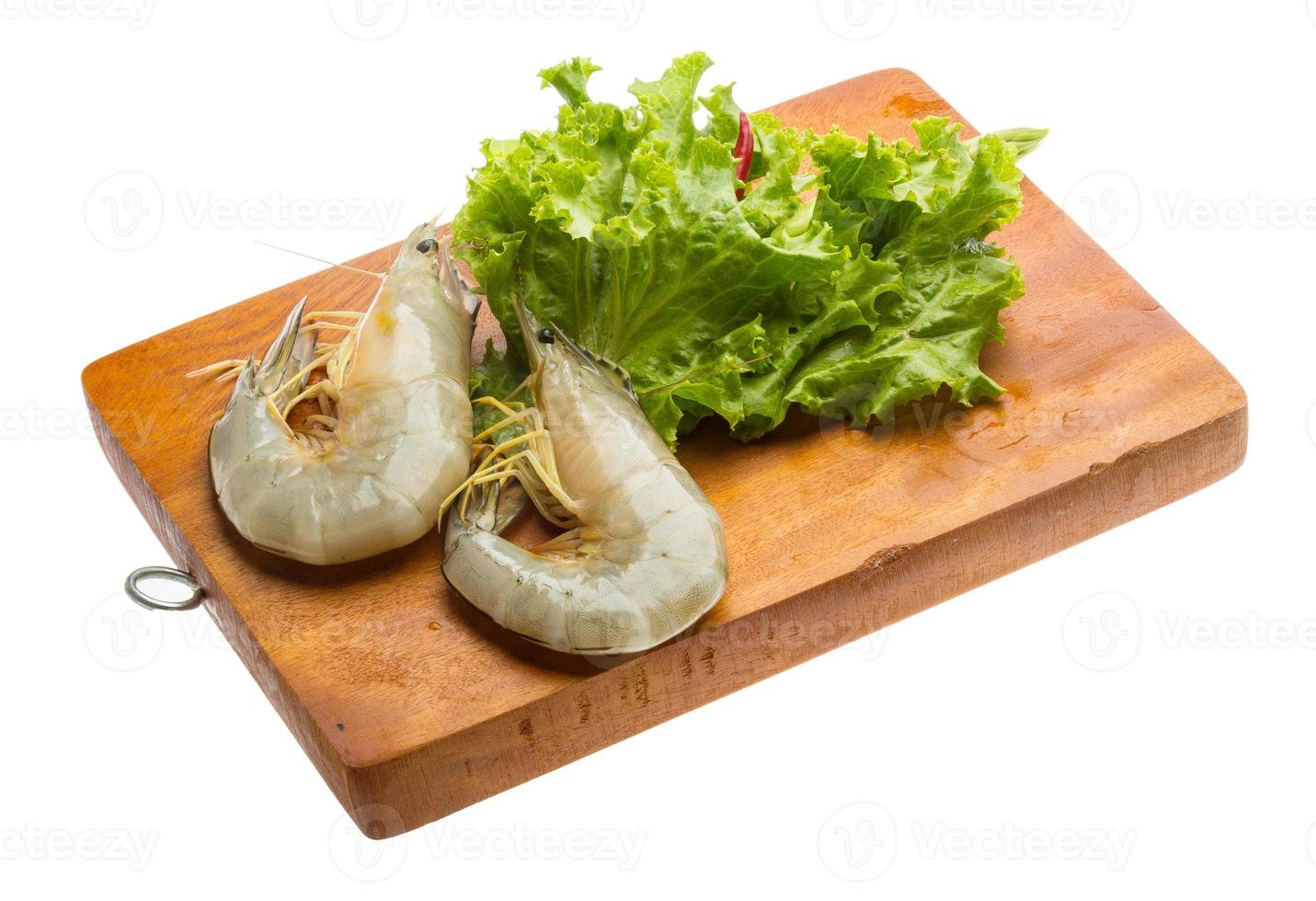 Tiger prawn on wooden board and white background photo