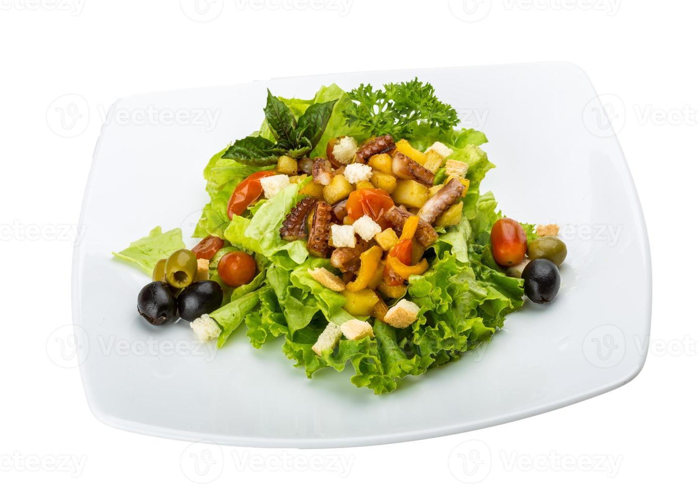 Octopus salad on the plate and white background photo