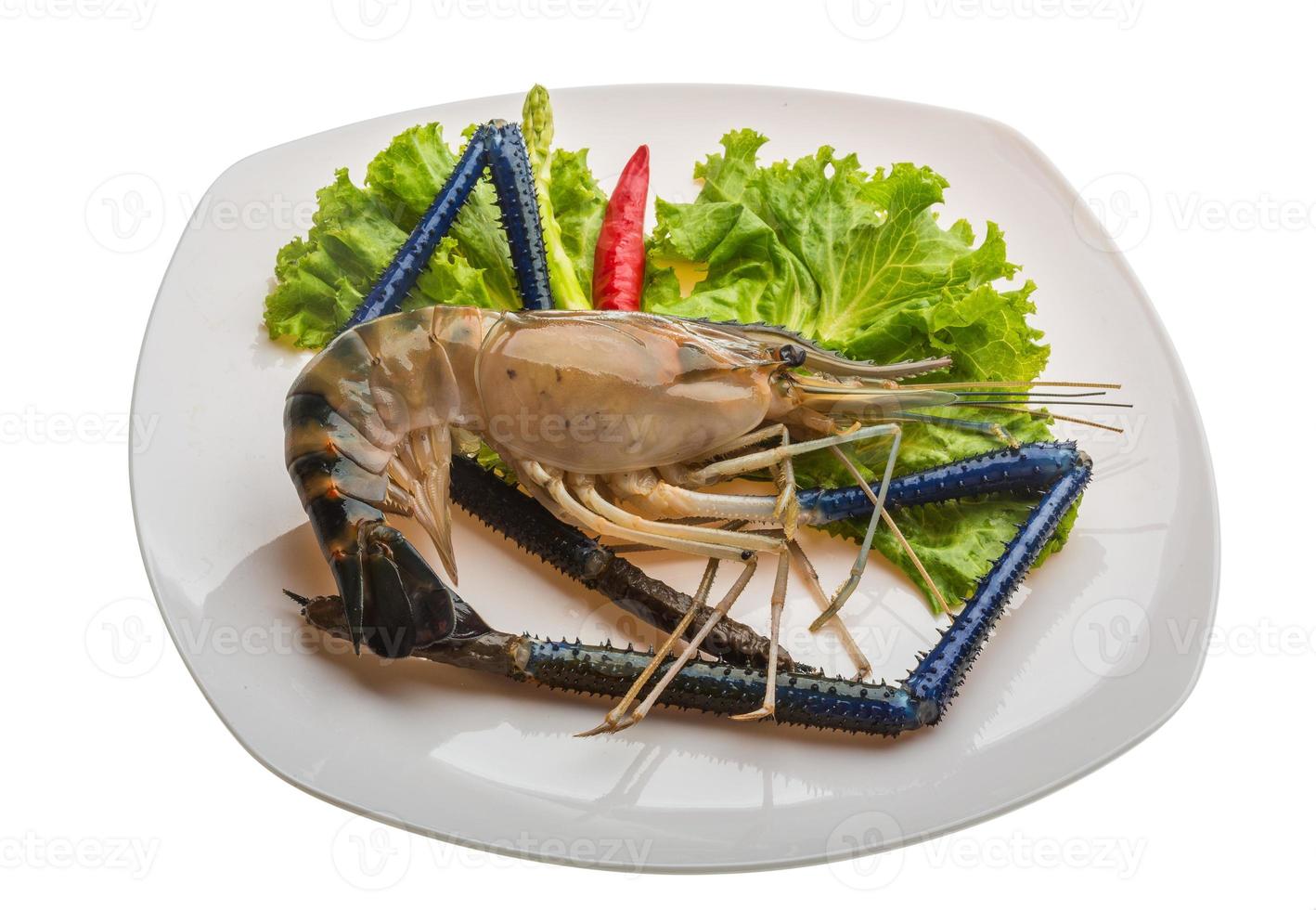 Freshwater prawn on the plate and white background photo