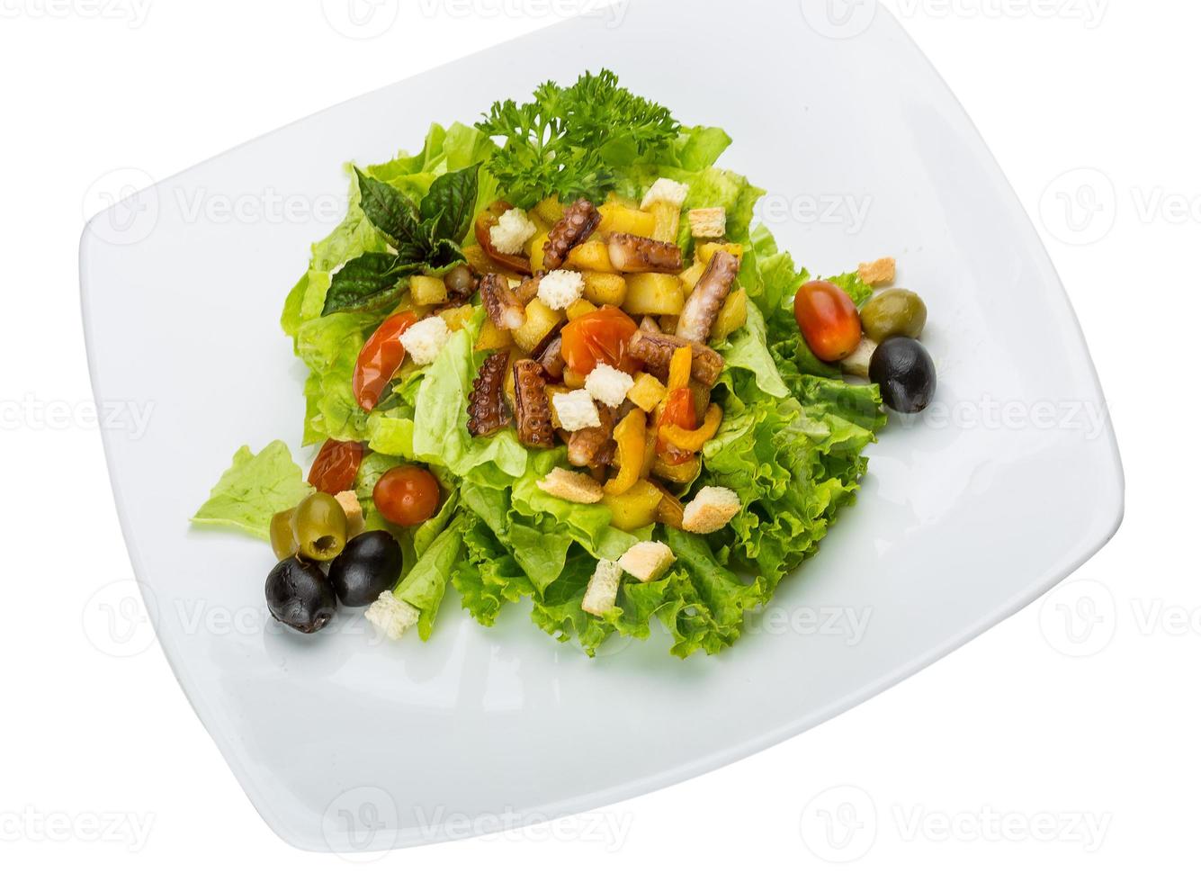 Octopus salad on the plate and white background photo