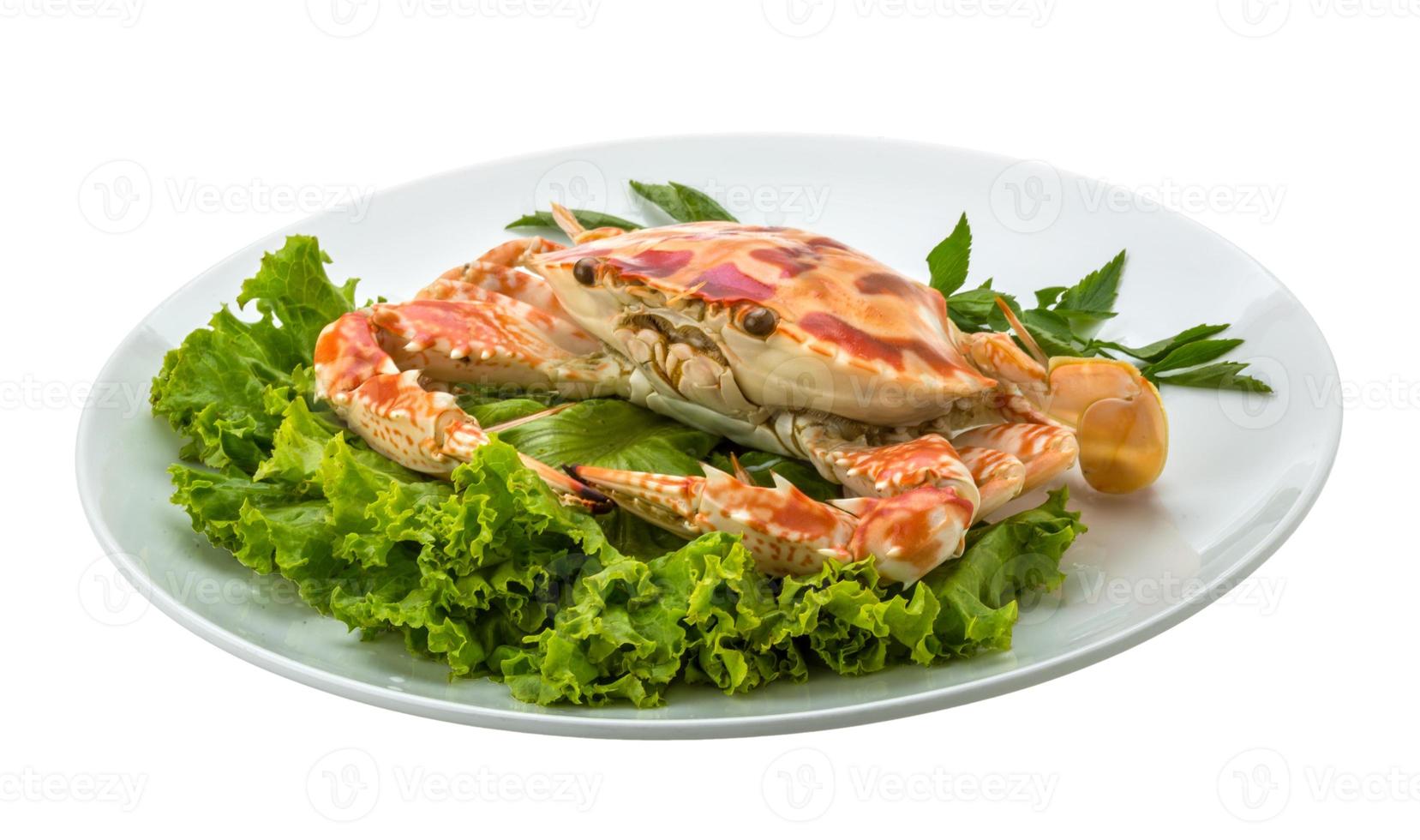 Boiled crab on the plate and white background photo