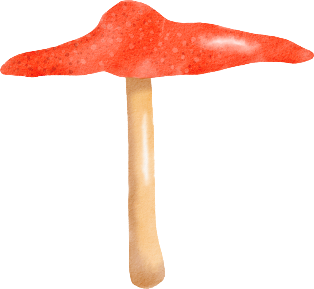 cogumelo colorido aquarela png