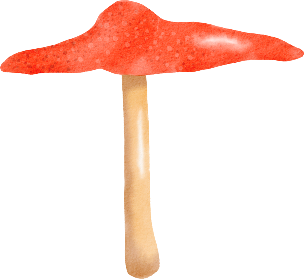 Watercolor colorful mushroom png