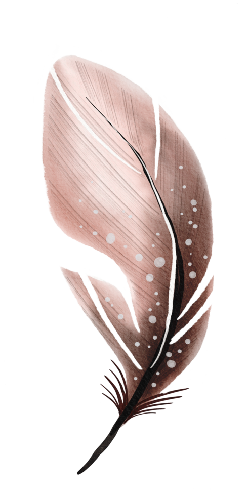 watercolor painted feather png