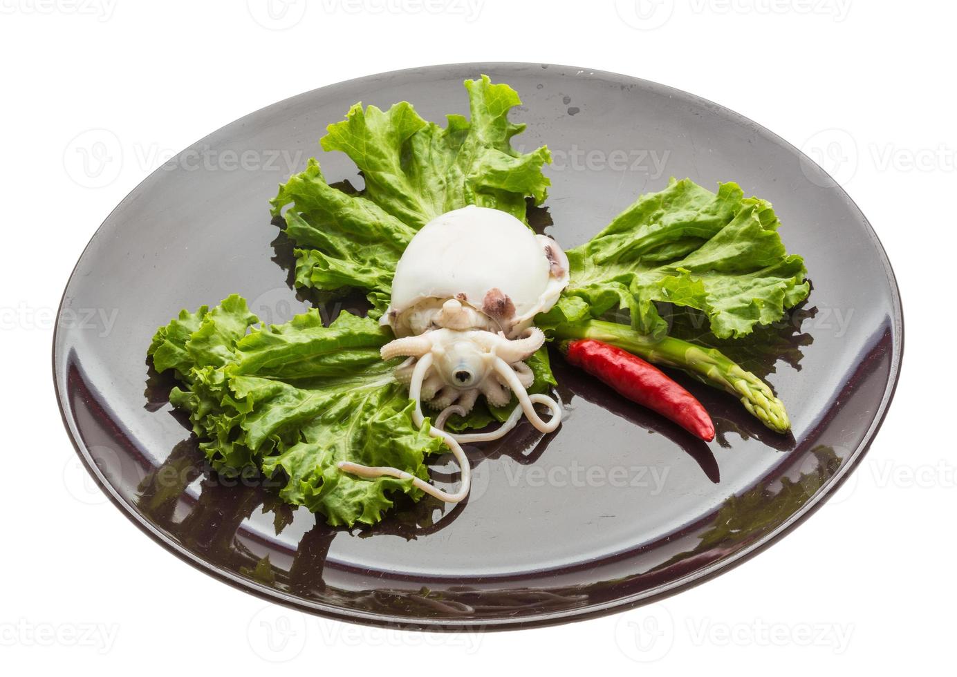 Boiled cuttlefish on the plate and white background photo
