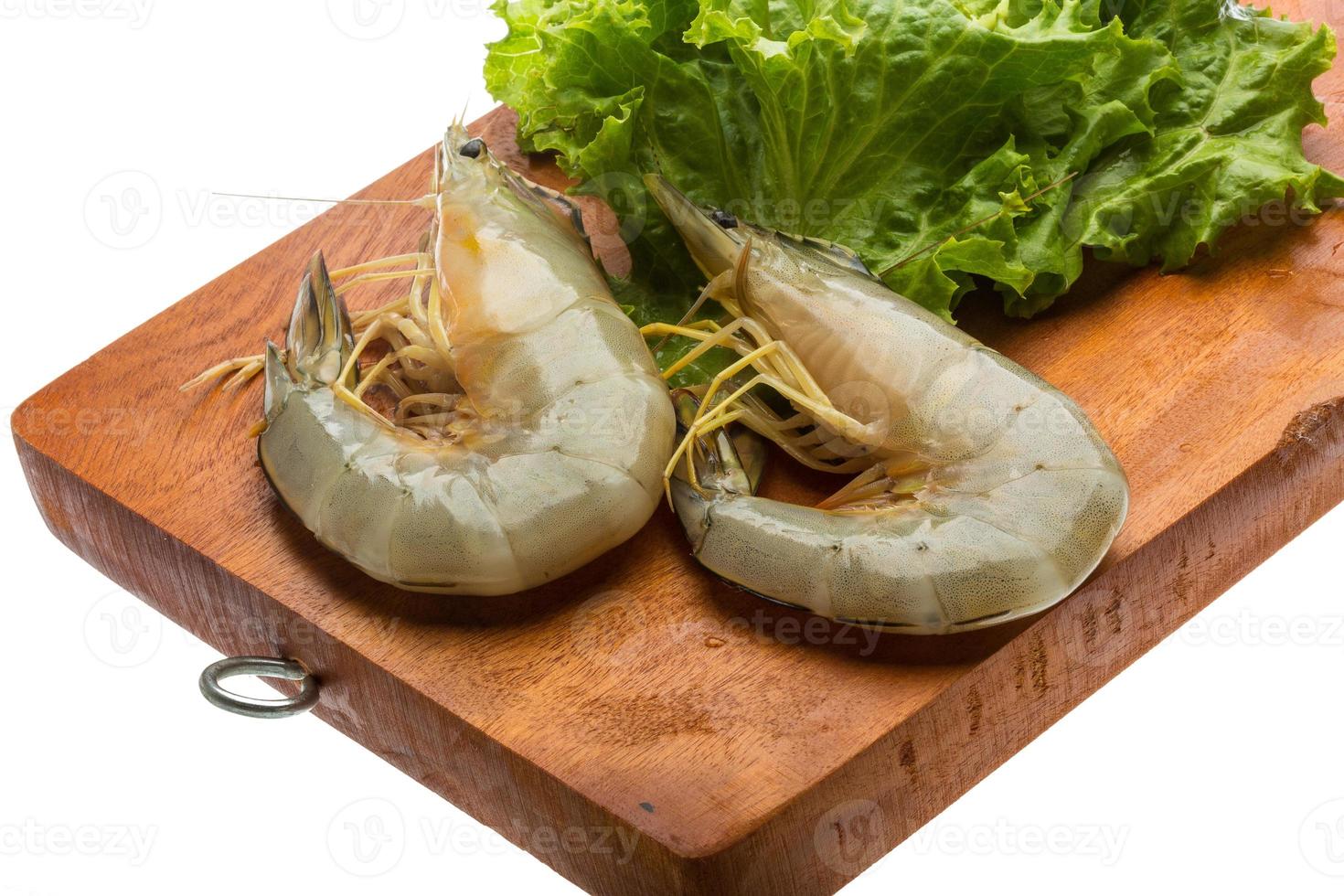 Tiger prawn on wooden board and white background photo