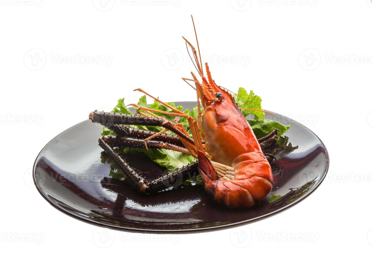 Giant Freshwater Prawn photo