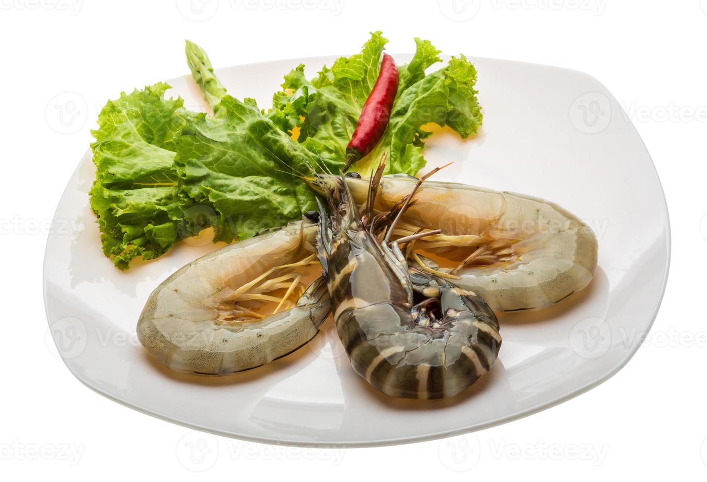 King and waterleg shrimps photo