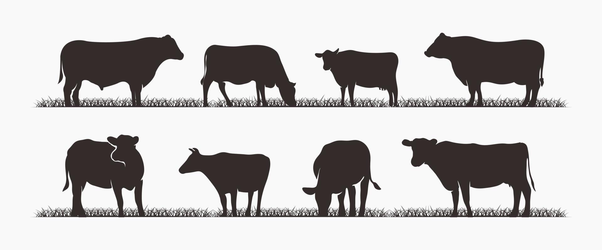 colección de ganado de vaca de silueta. perfecto para elementos de diseño. ilustración vectorial vector