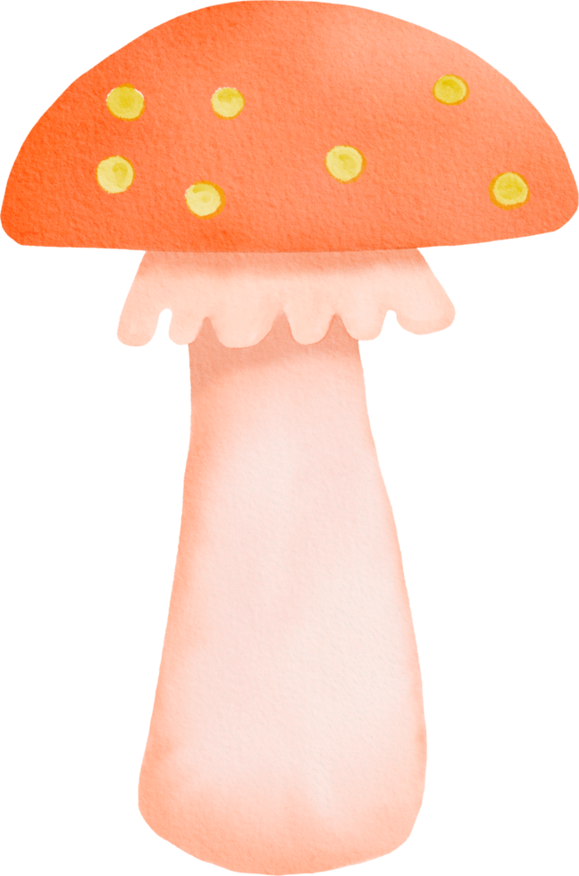 Watercolor colorful mushroom png