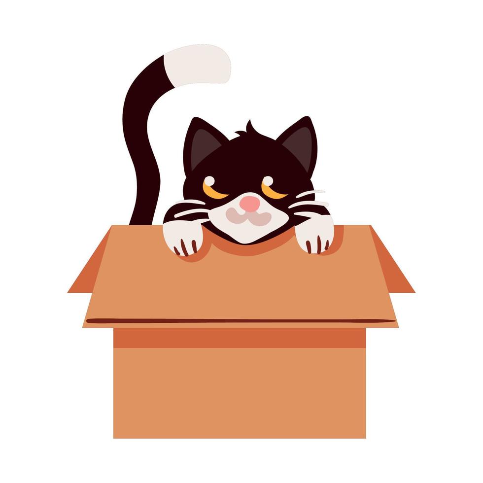 black cat in the box vector