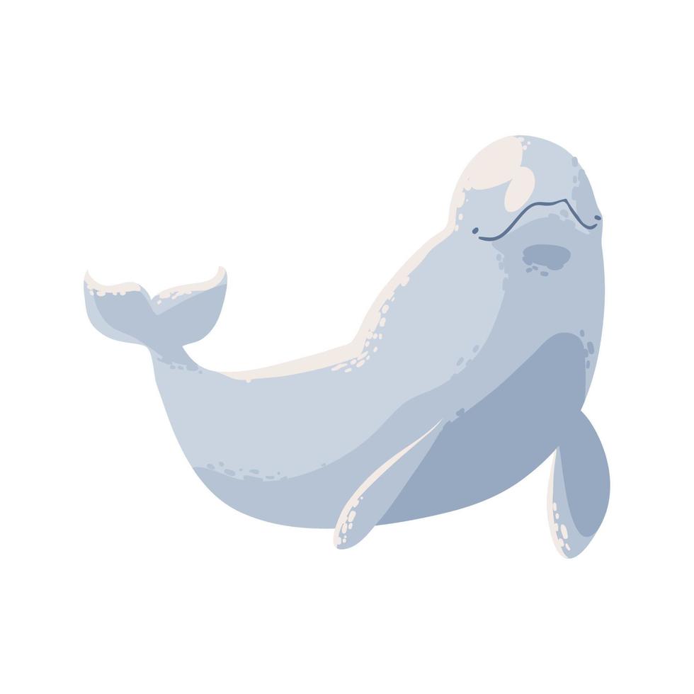 beluga whale icon vector