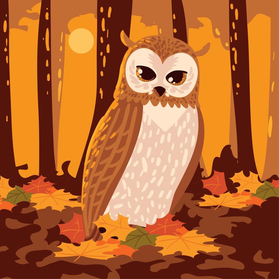 bosque de otoño y búho vector