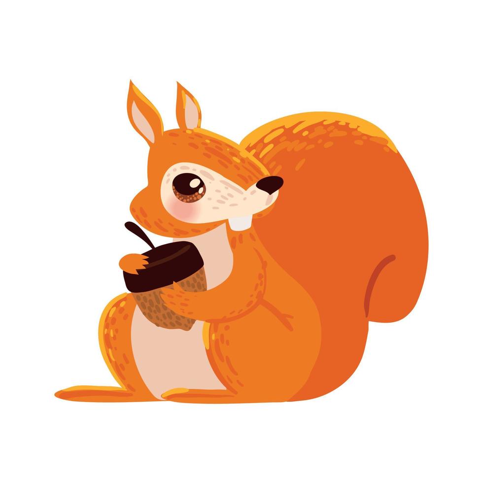 squirrel with acorn vector
