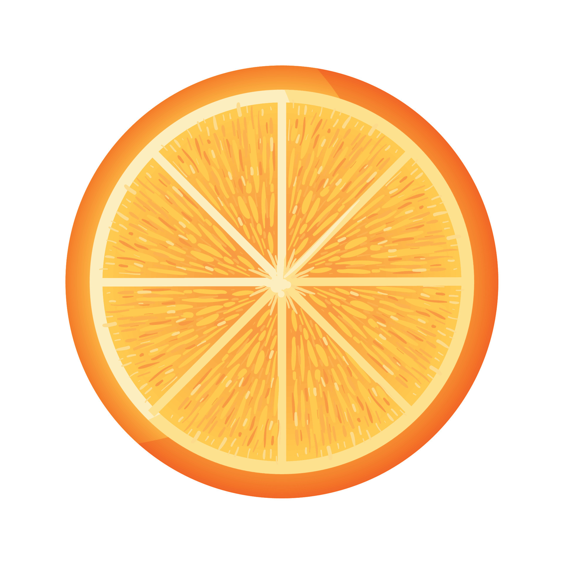 half orange icon 11212580 Vector Art at Vecteezy