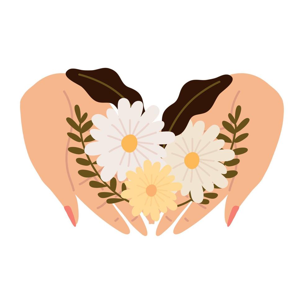 female hands with flowers vector