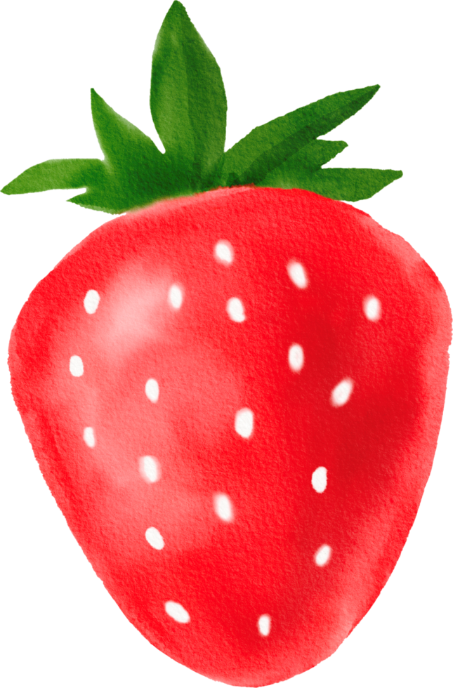 Watercolor painted Strawberry png