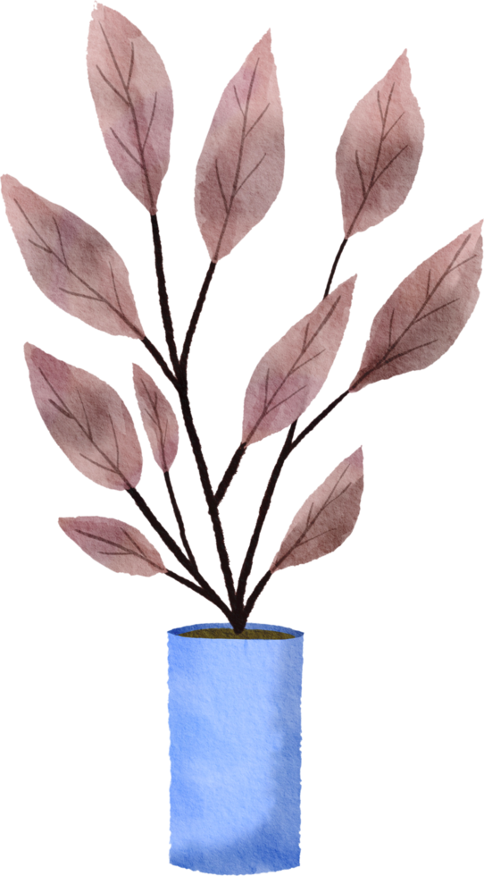 watercolor painted houseplant png