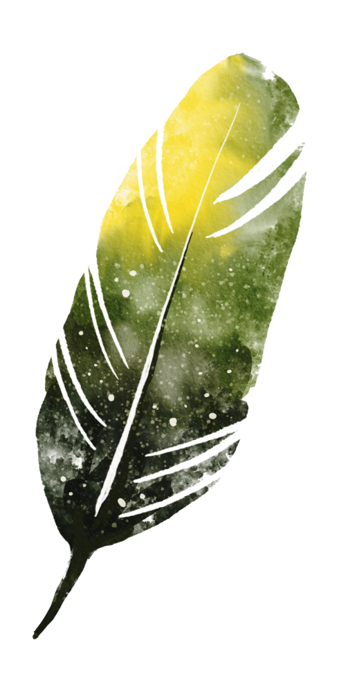 watercolor painted feather png