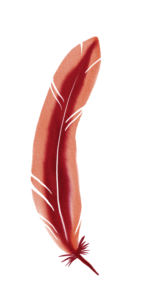 watercolor painted feather png