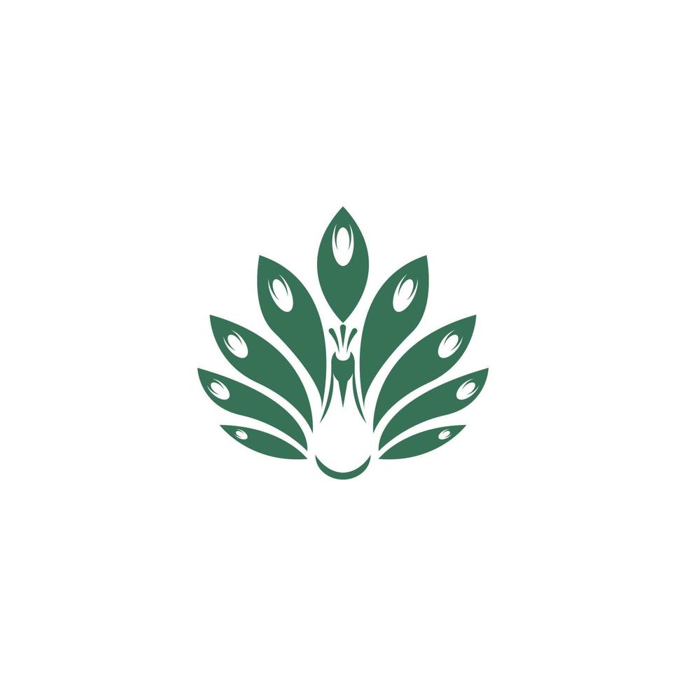 Peacock icon logo design vector