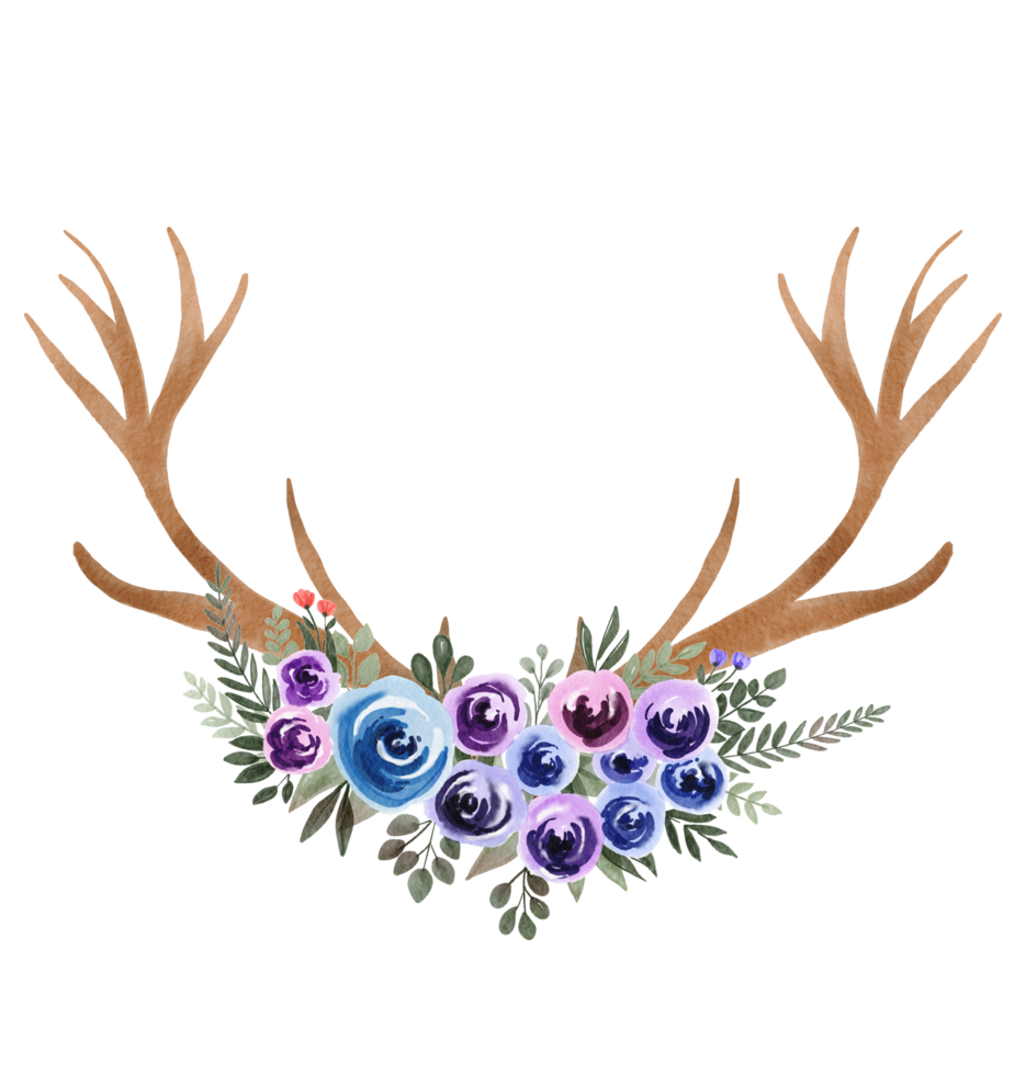 watercolor antler and flower png