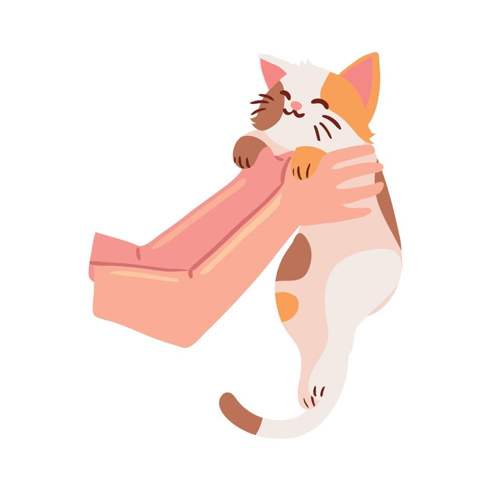 hands carrying a cat vector