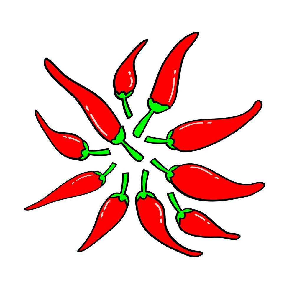 hand drawn chilli pepper in doodle style vector