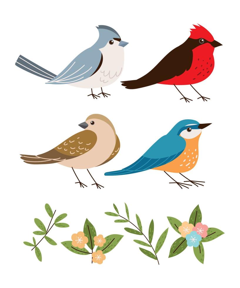 pájaros y flores vector