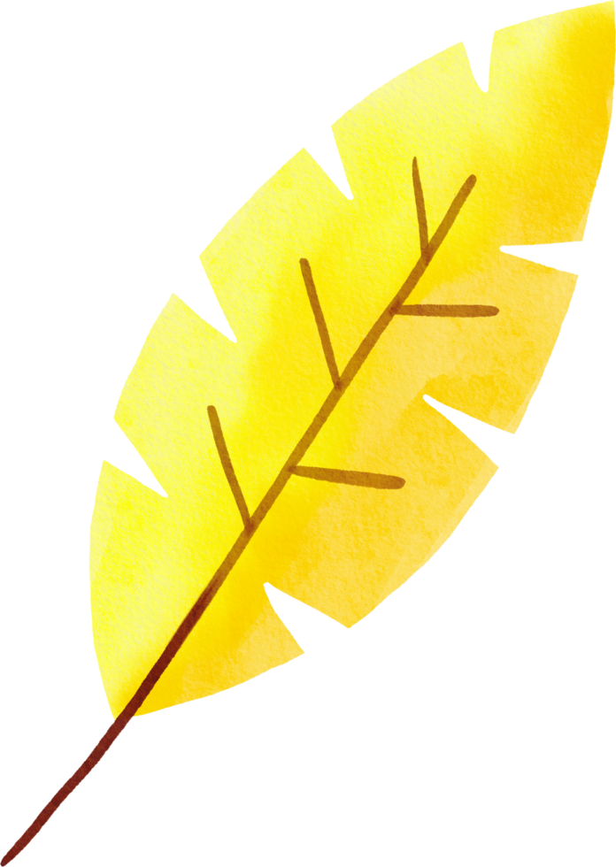 Watercolor Hand drawn Autumn Leaf png