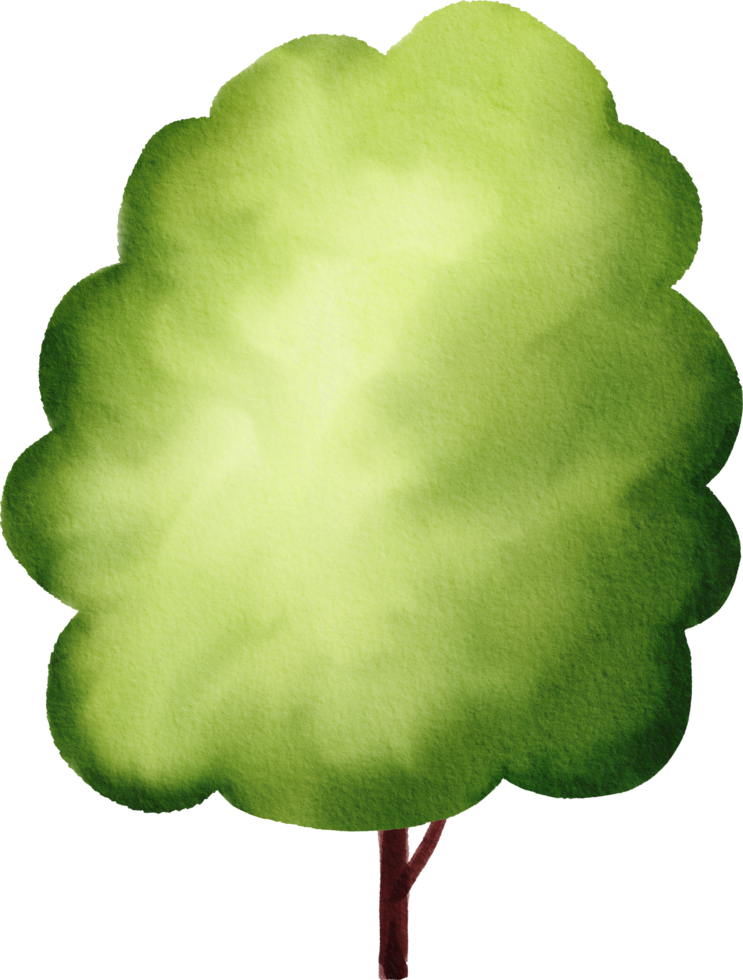 Desenho de uma árvore em aquarela. uma árvore pintada de verde.