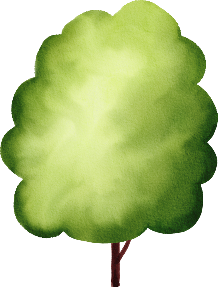 Green tree watercolor painted png