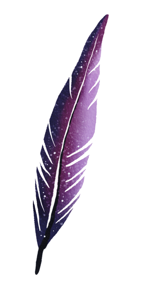 plume peinte à l'aquarelle png