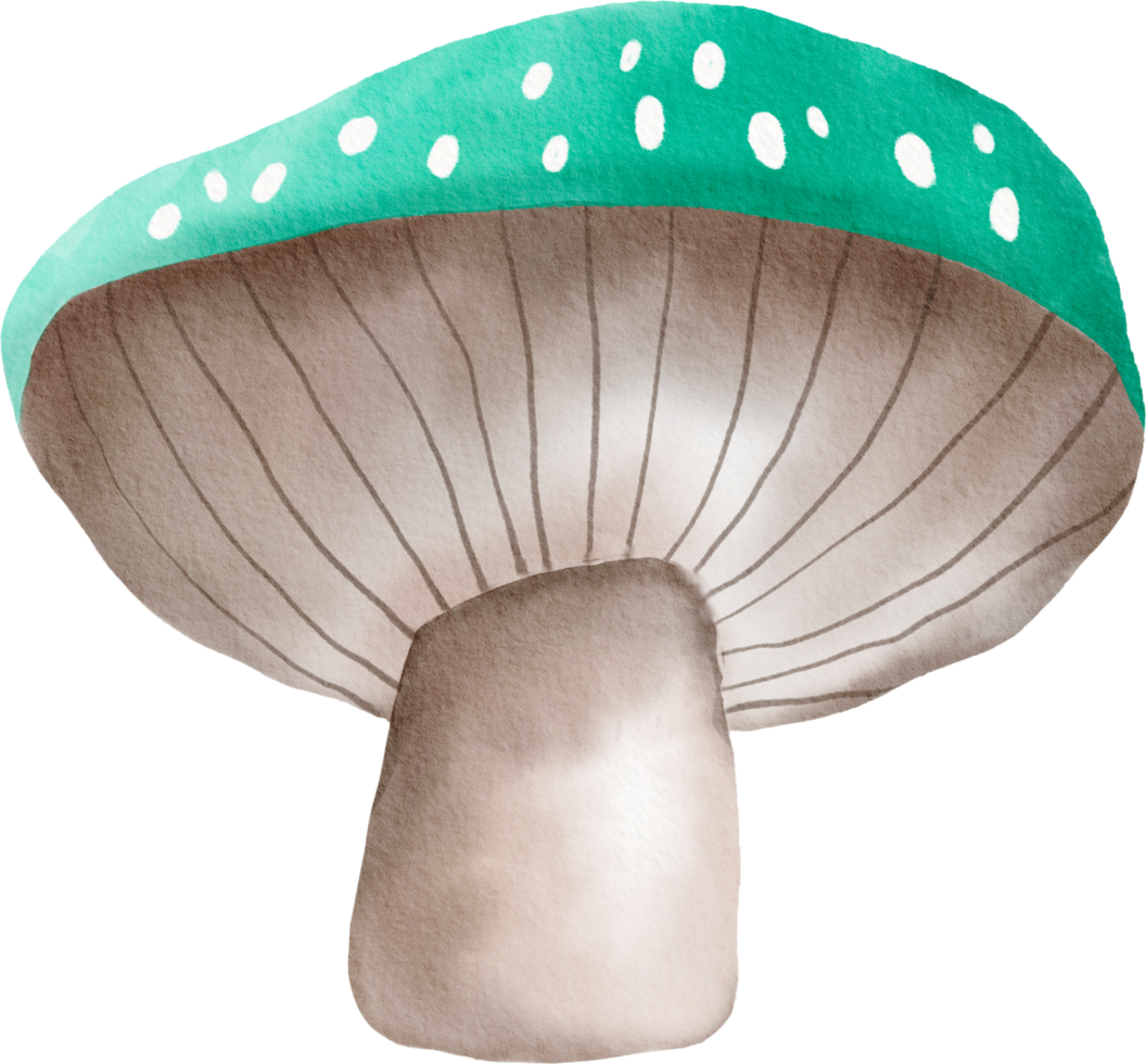 Watercolor colorful mushroom png