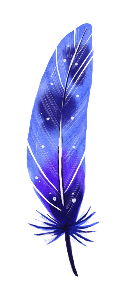 watercolor painted feather png