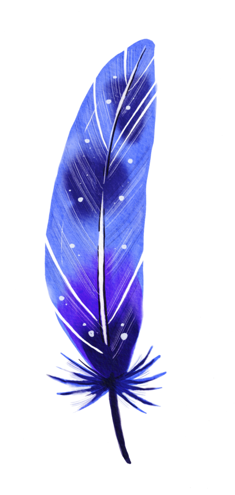 watercolor painted feather png