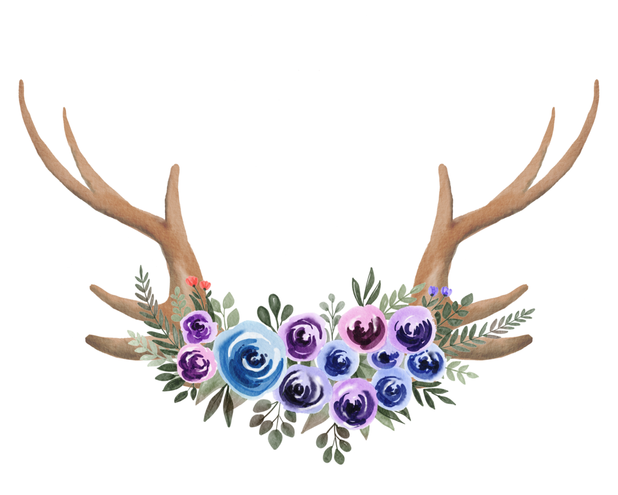 watercolor antler and flower png