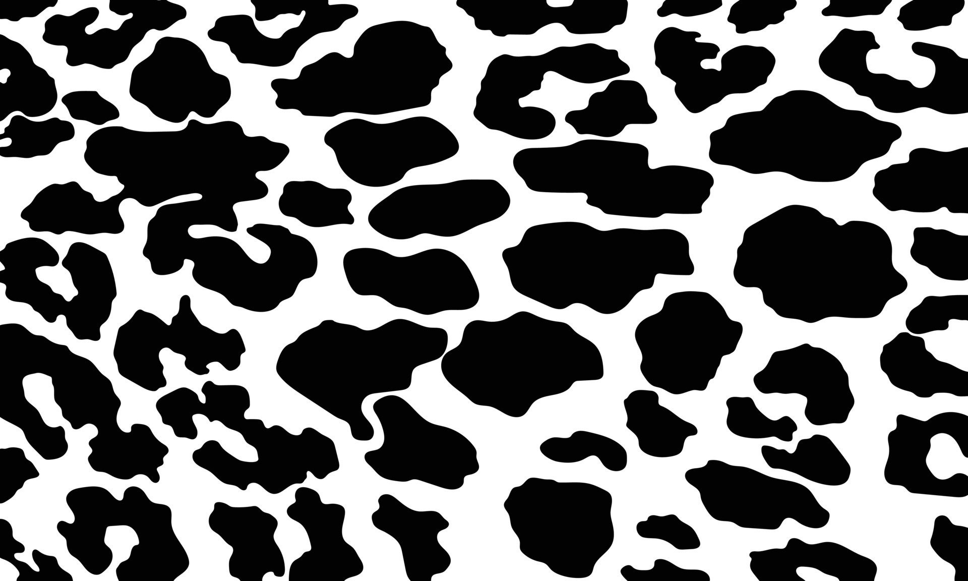 Vector black leopard print pattern animal. Leopard skin abstract for