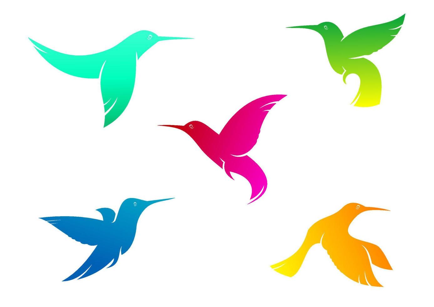 Flying color hummingbirds vector