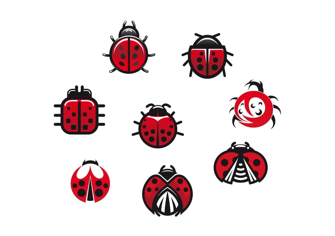 Ladybugs and ladybirds vector