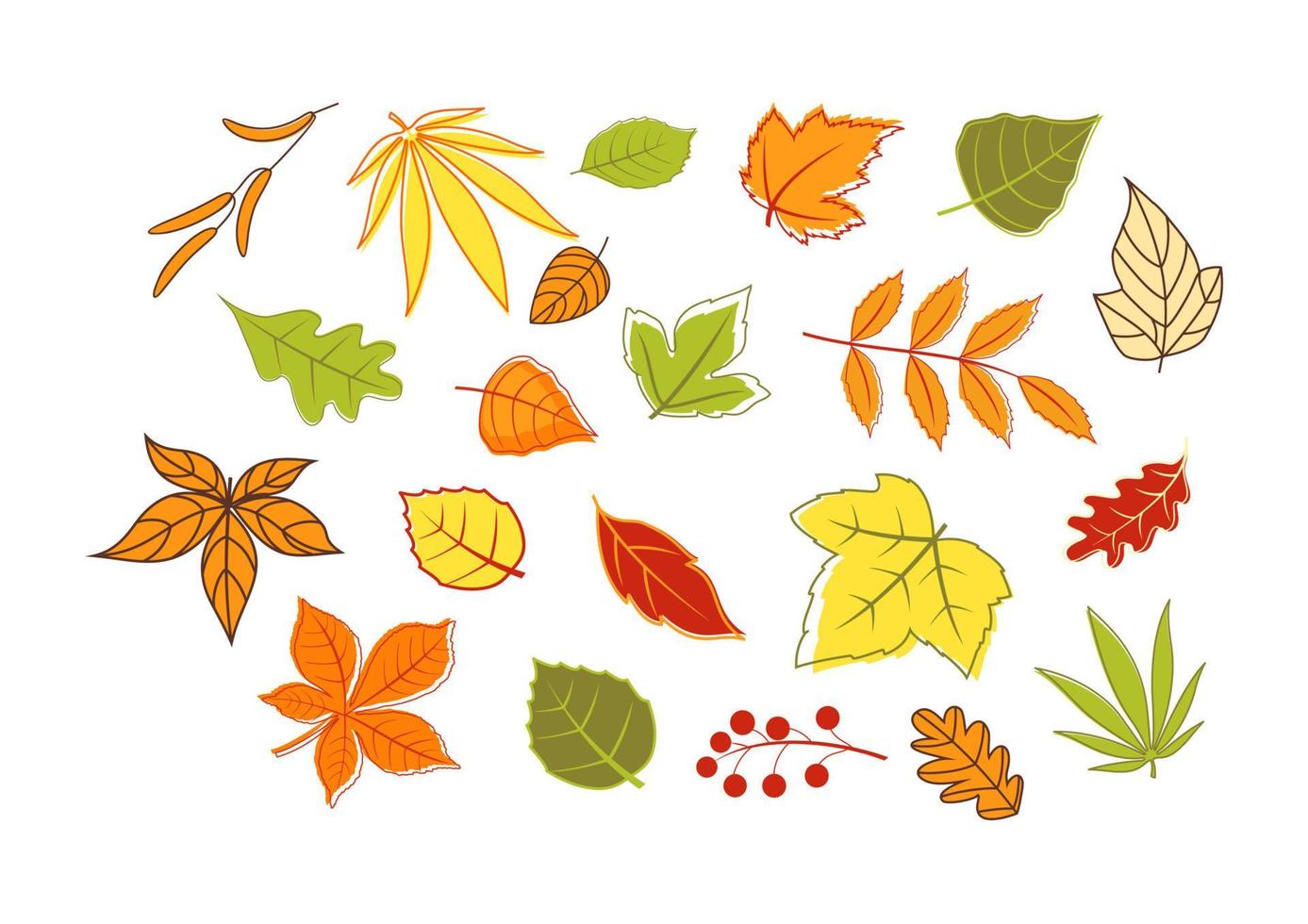 coloridas hojas y plantas otoñales vector