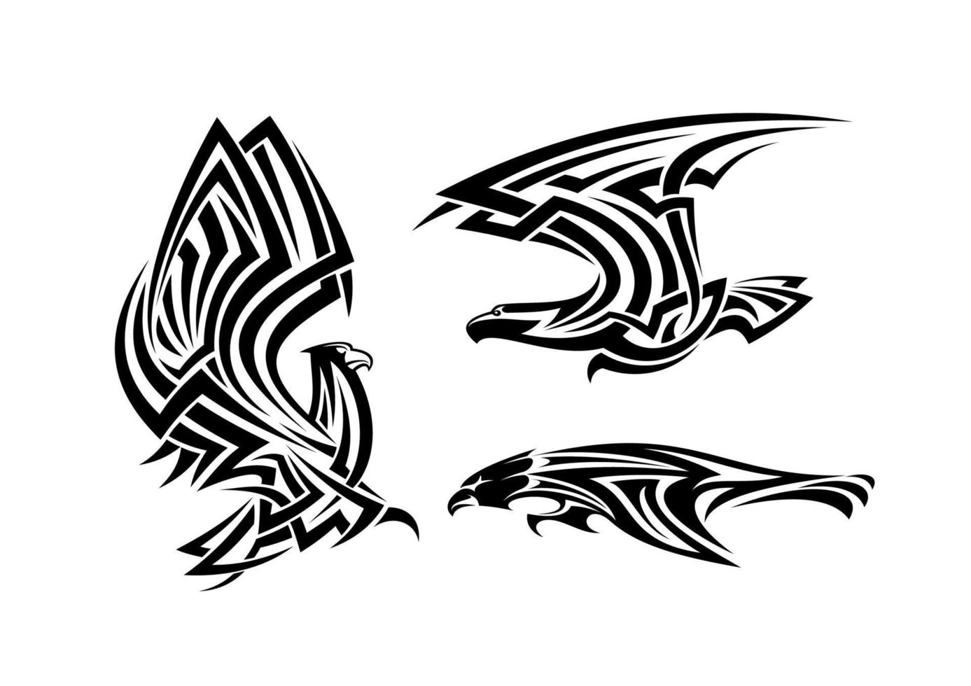 águila tribal, halcón y halcón vector