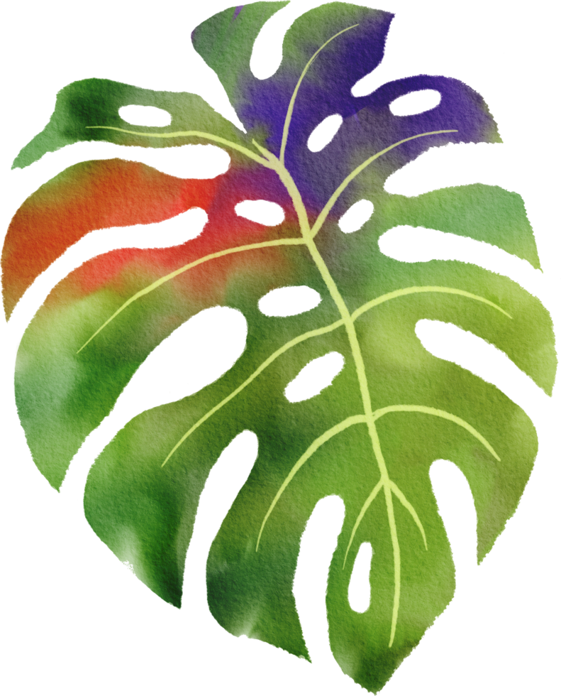 tropical leaves watercolor painted png