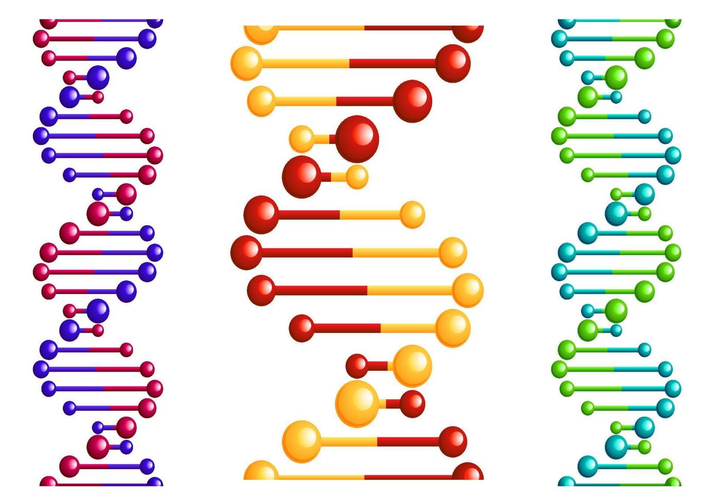 DNA molecule with elements vector