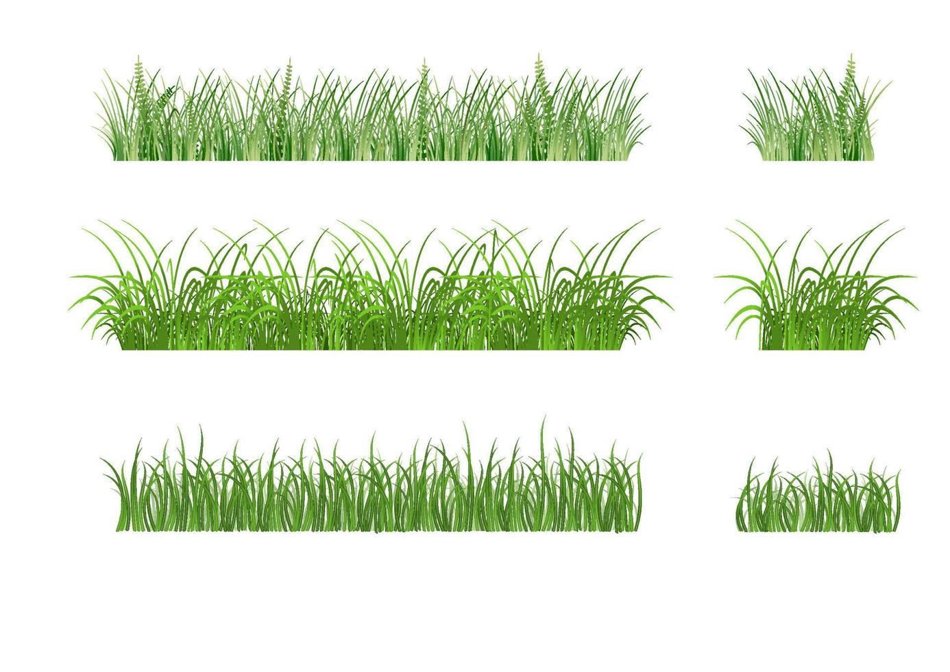 Green grass patterns vector