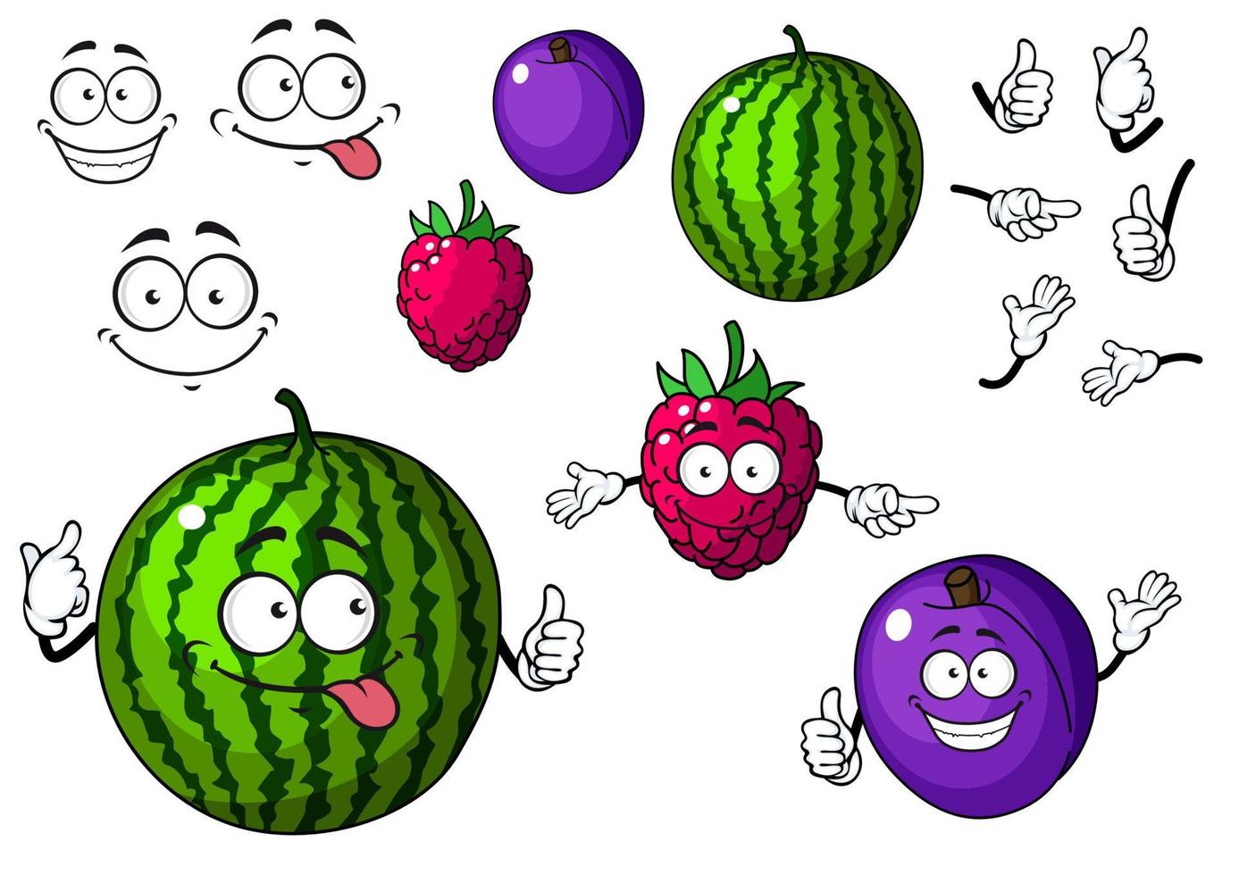 Watermelon, raspberry and plum fruits vector