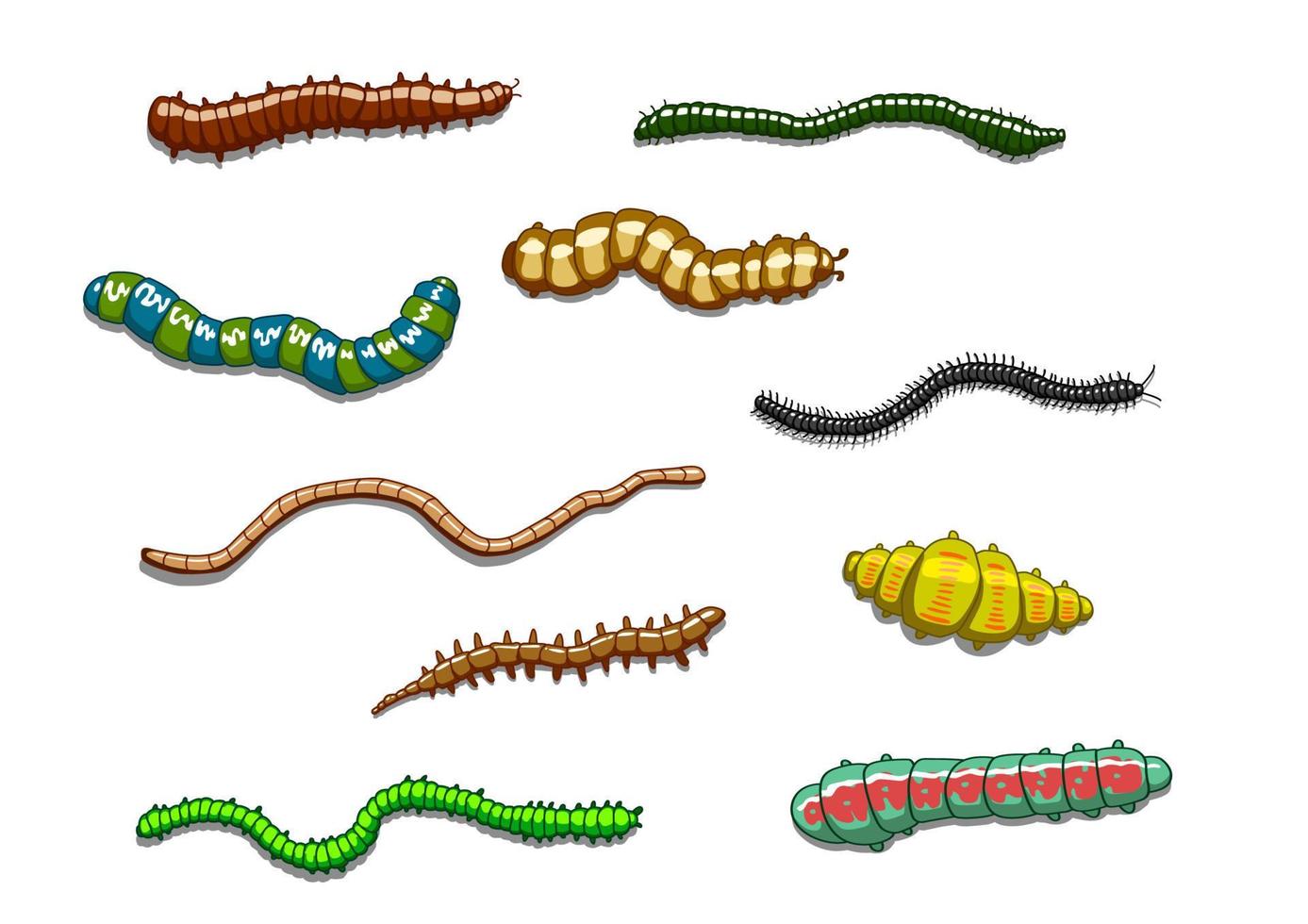 Worms, slugs and caterpillars vector
