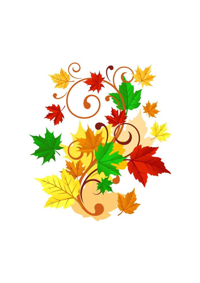 Autumnal leaves background vector